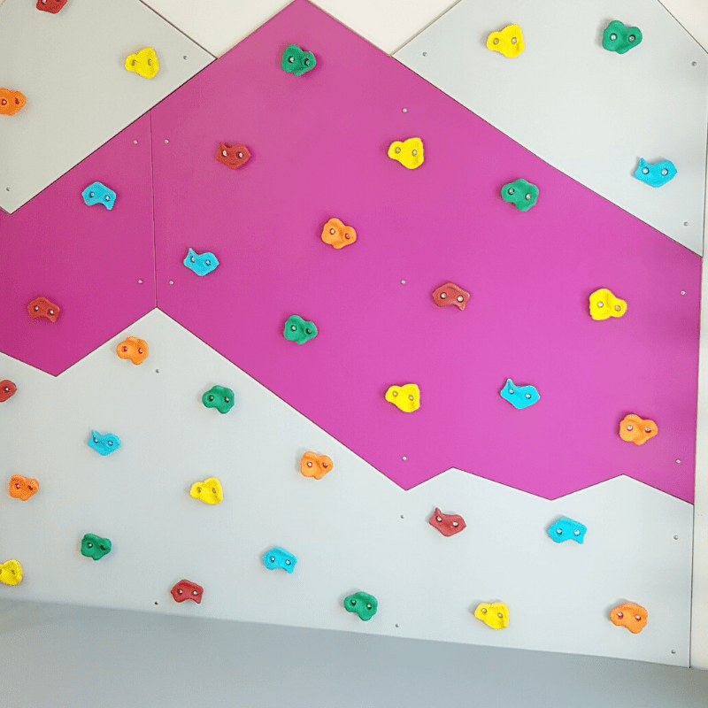 Climbing Wall with Monkey Bars, Climbing Ladder & Roper Ladder