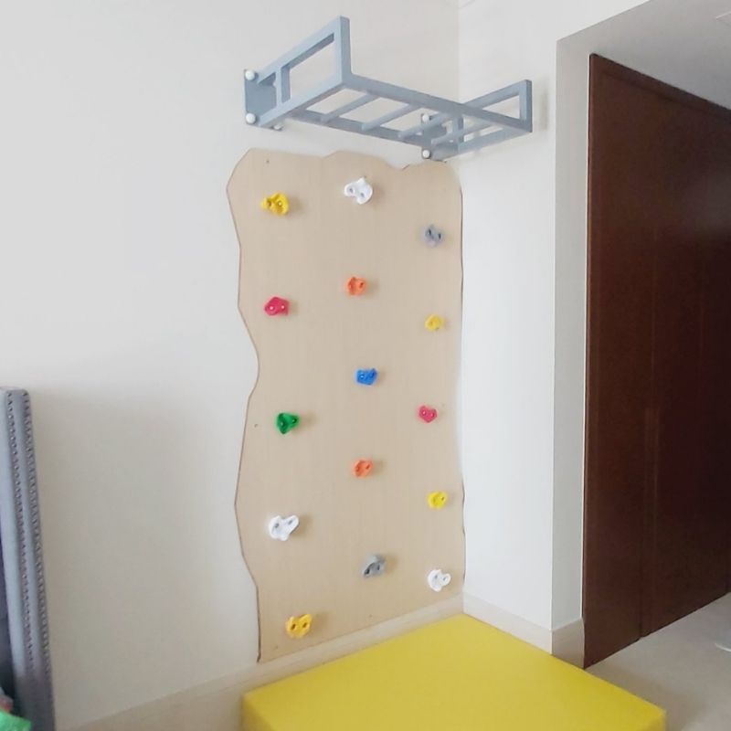 Rock Face Climbing Wall with Monkey Bars - الصورة 2