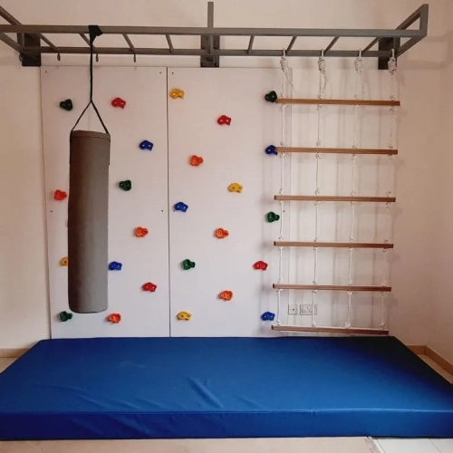 2 Panel Climbing Wall with Monkey Bars Cargo Net