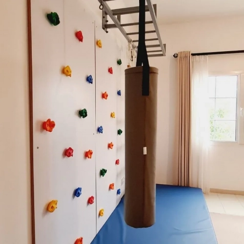 2 Panel Climbing Wall with Monkey Bars Cargo Net