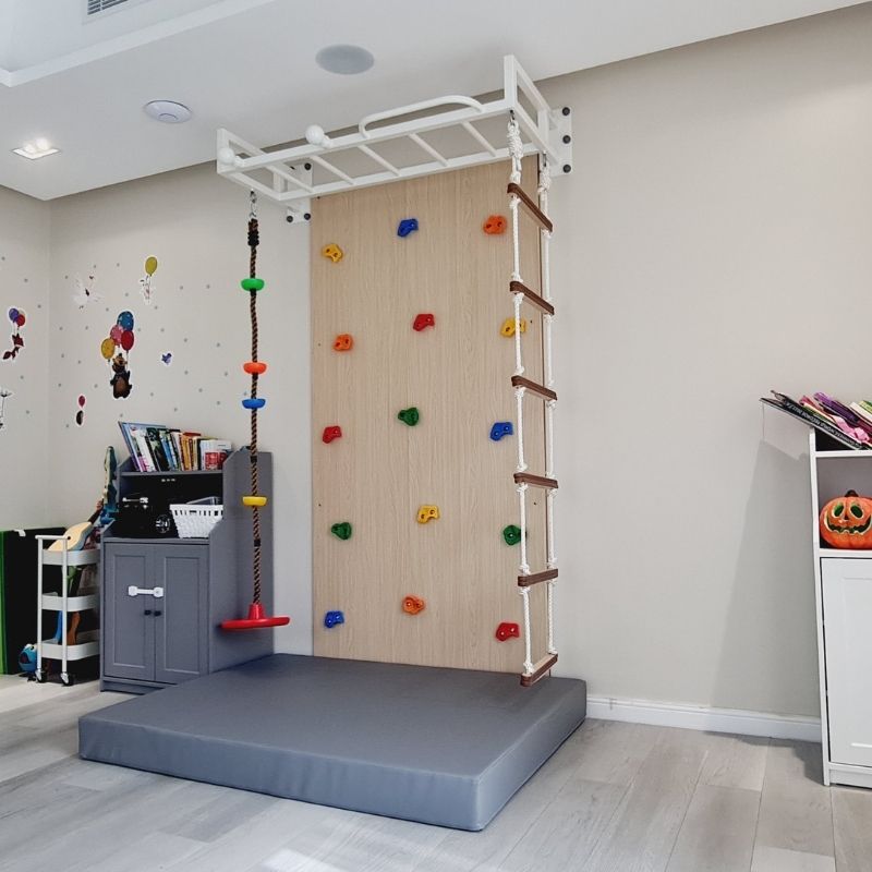 Climbing Wall With Sensory Monkey Bar