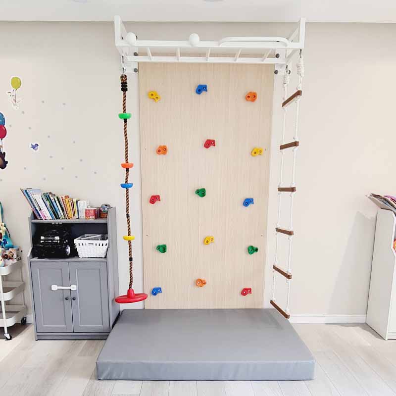 Climbing Wall With Sensory Monkey Bar