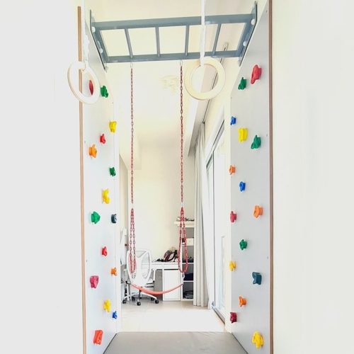 PARRALEL CLIMBING WALL WITH MONKEY BARS