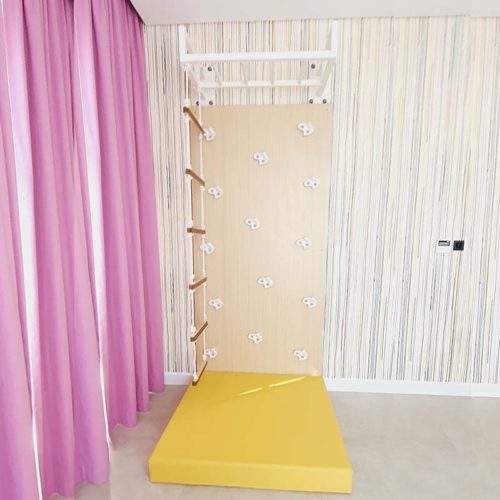 Climbing Wall Panel with Monkey Bar & Rope Ladder