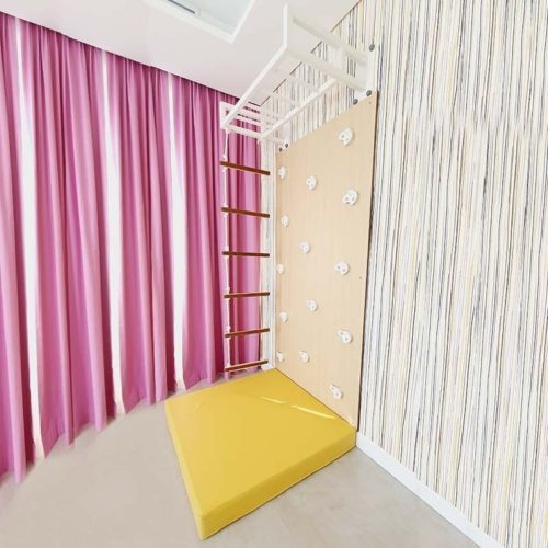 Climbing Wall Panel with Monkey Bar & Rope Ladder