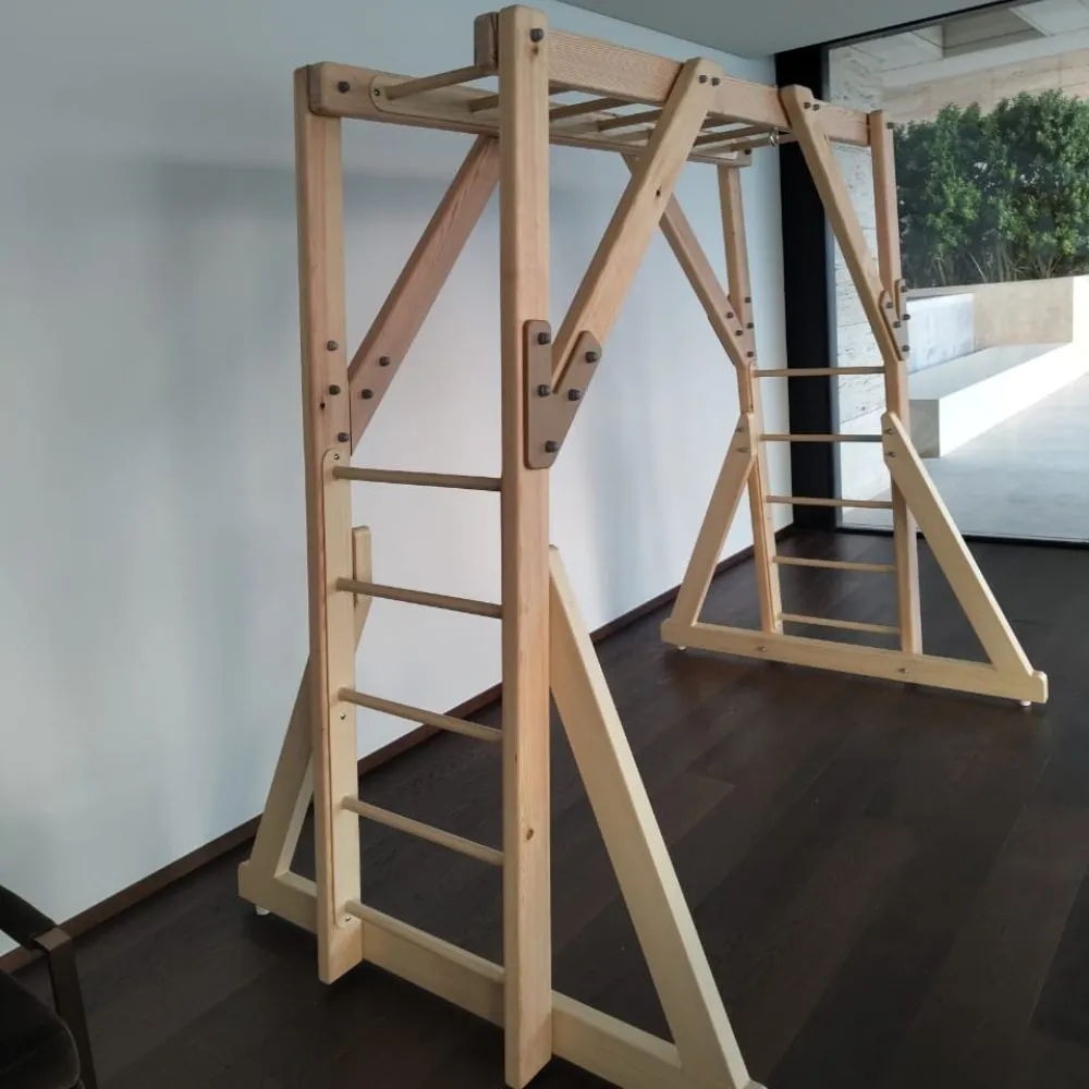 Free Standing Monkey Bars