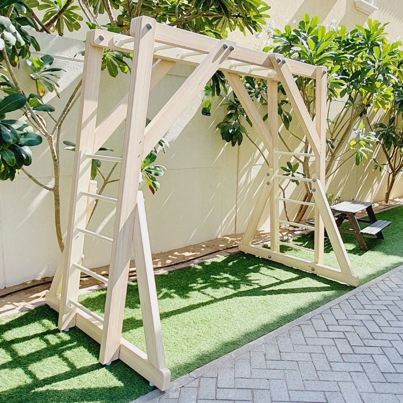 Free Standing Monkey Bars with Swing