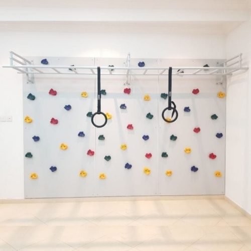Climbing Wall with Monkey Bars & Gymnastics Rings