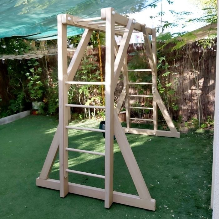 Freestanding Monkey Bars and Swing