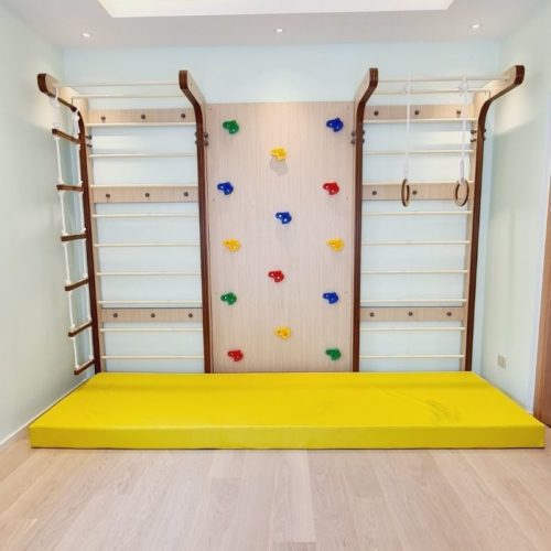 2 Swedish Wall and 1 Panel Climbing
