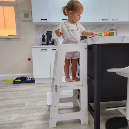 2 in 1 Learning Tower